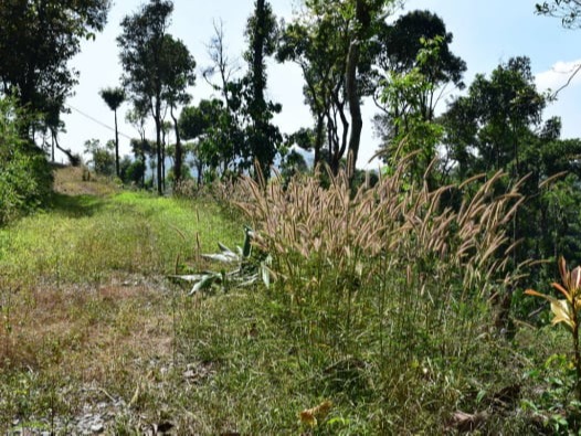 Trek near The Chinnadhalu resort