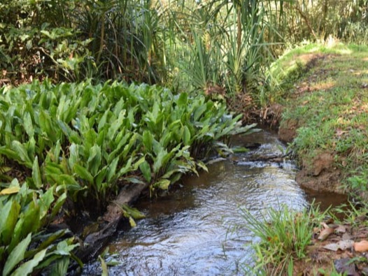 Trek near The Chinnadhalu resort