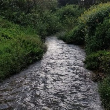 The Chinnadhalu River