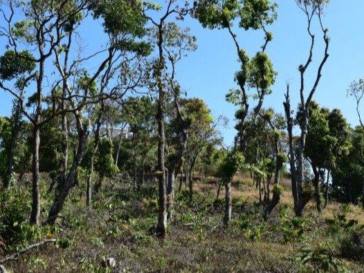 Trek near The Chinnadhalu resort